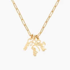 Bailey Link Chain Name Necklace - Gold Vermeil