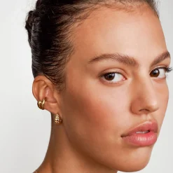 Small Scalloped Hoop - 14k Solid Gold